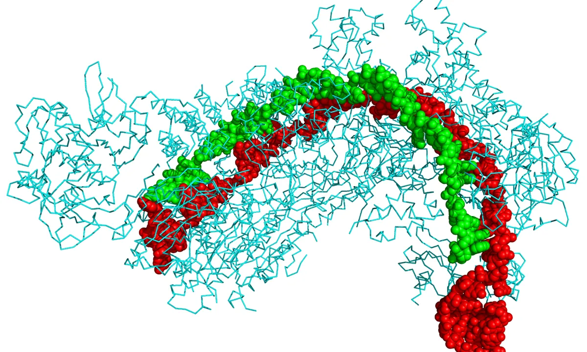 Imagen principal sobre CRISPR