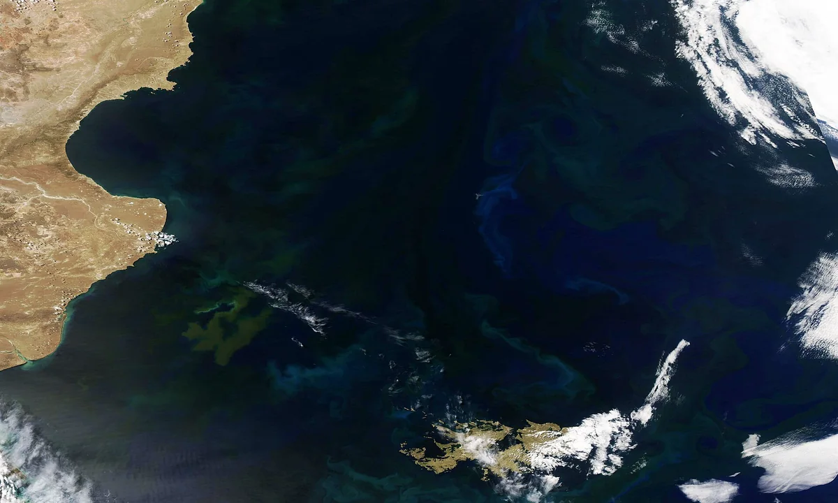 Imagen principal sobre El afloramiento oceánico