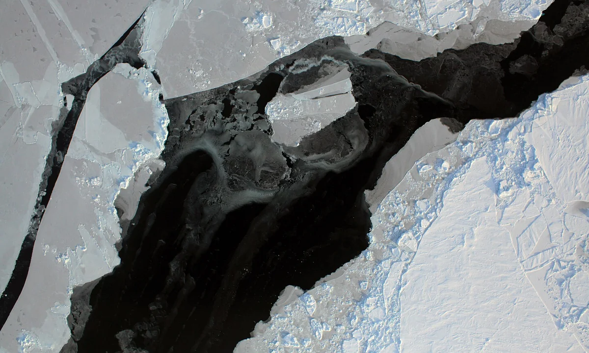 Imagen principal sobre El hielo marino