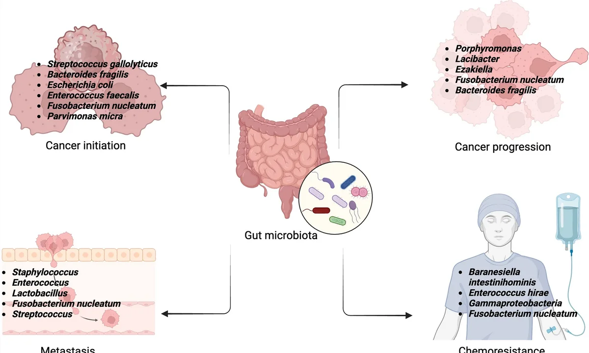 Imagen principal sobre El microbioma intestinal