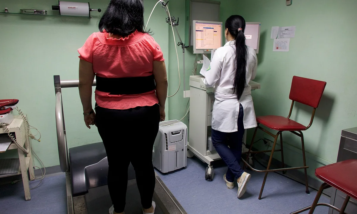 Imagen principal sobre La carga alostática