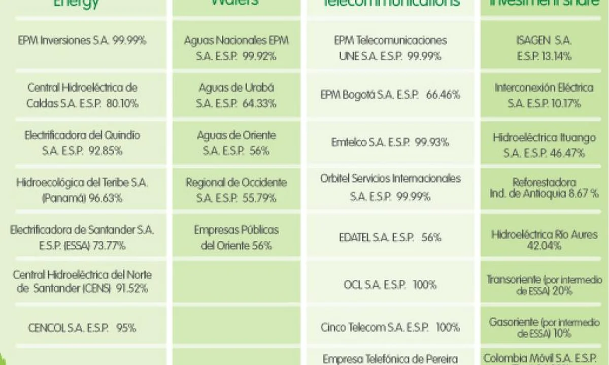 Imagen principal sobre La diversificación