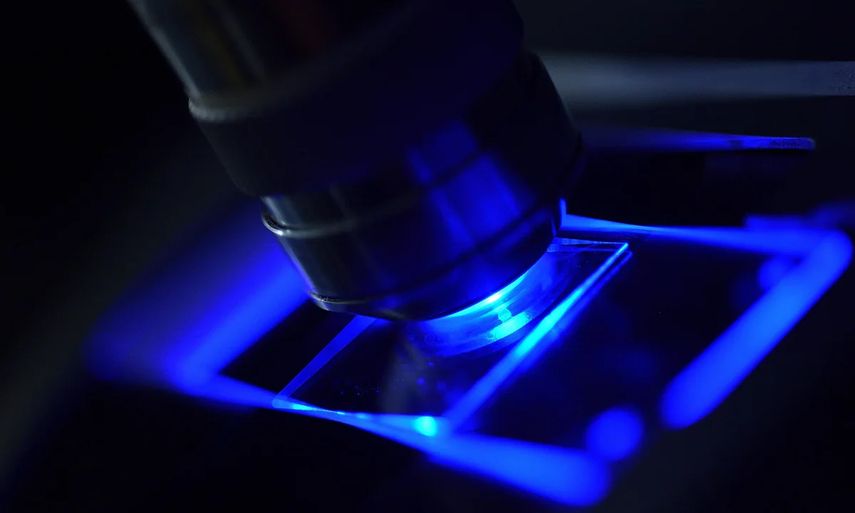 Imagen principal sobre La fluorescencia