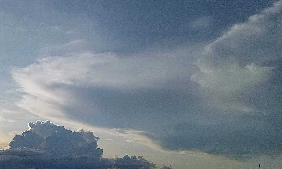 Imagen principal sobre La lluvia ácida
