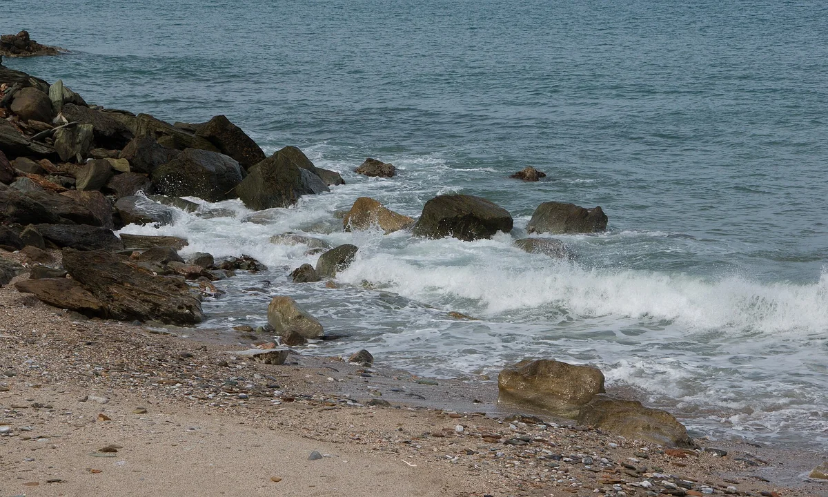 Imagen principal sobre Las olas oceánicas