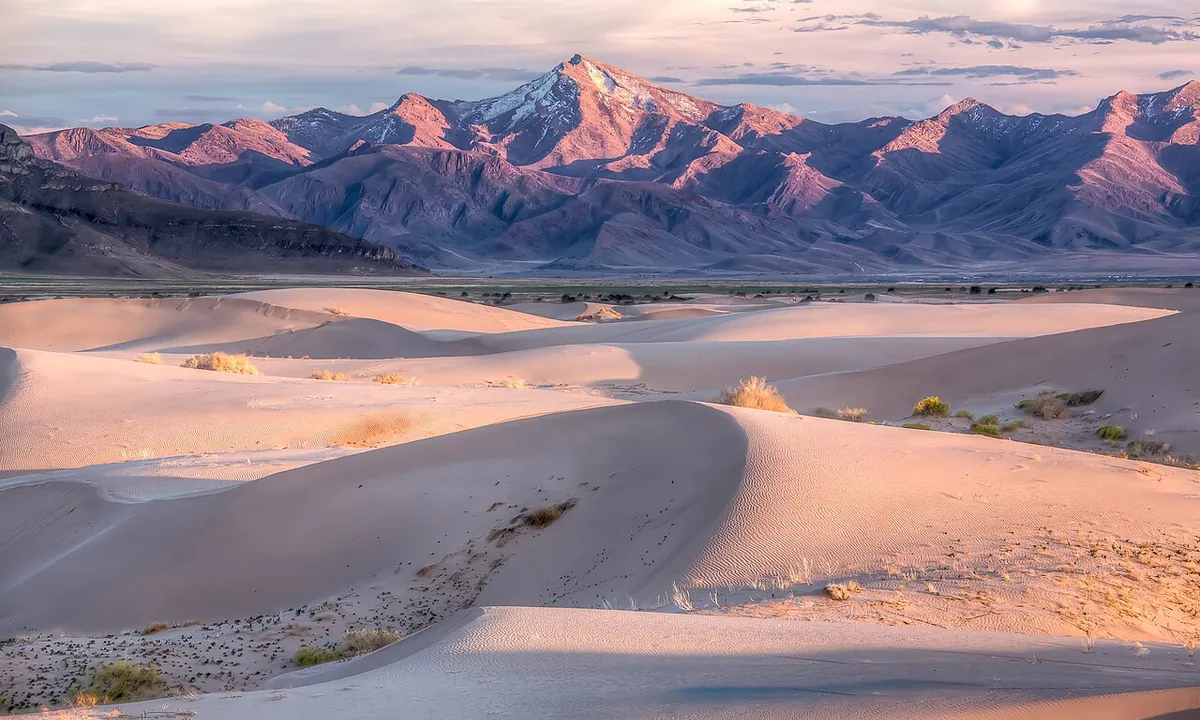 Imagen principal sobre Los desiertos